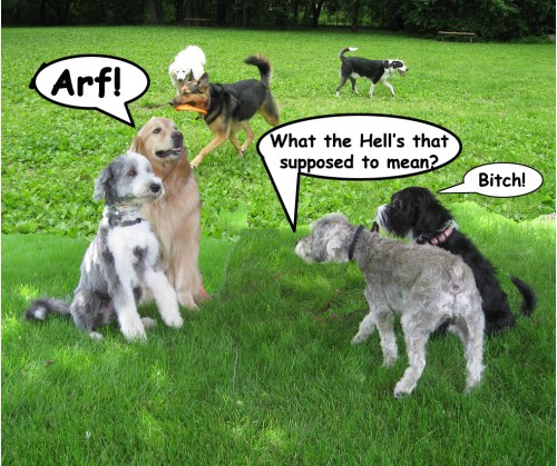 At the dog park, political discussions inevitably reduce to pissing matches. But so does everything.