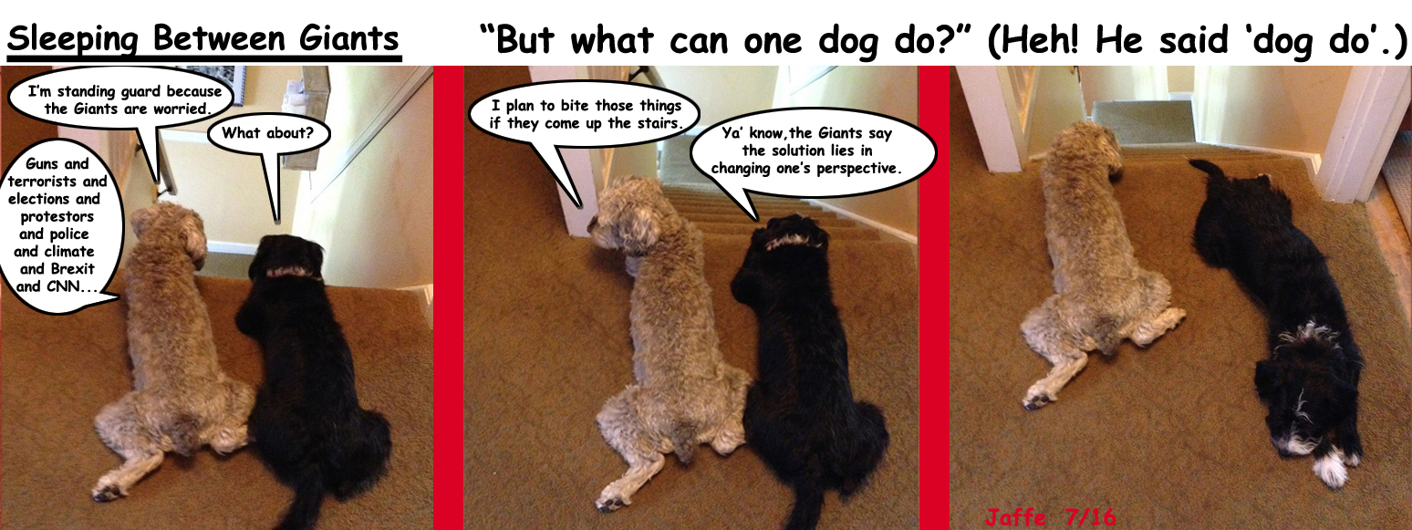 FINAL-FINAL-But-what-can-one-dog-do