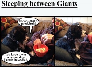 happy-thanksgimme-partial-final-reduced