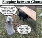 final-panel-for-writegood